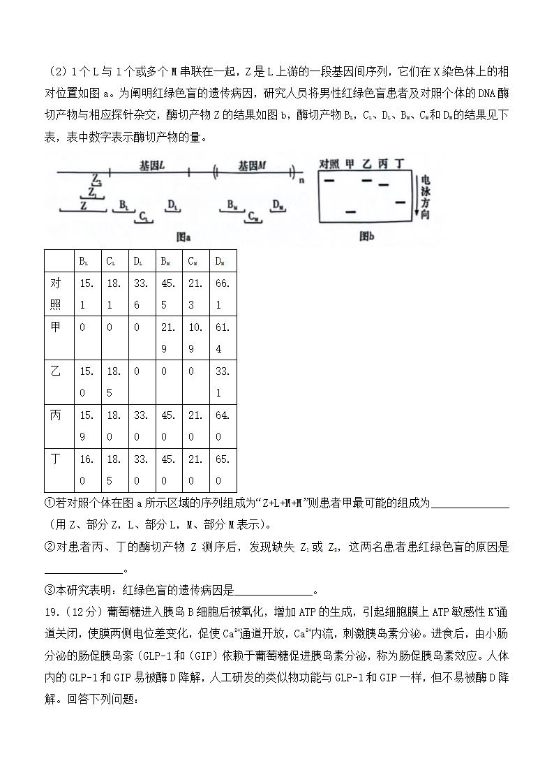 2024年湖南生物卷高考真题第7页