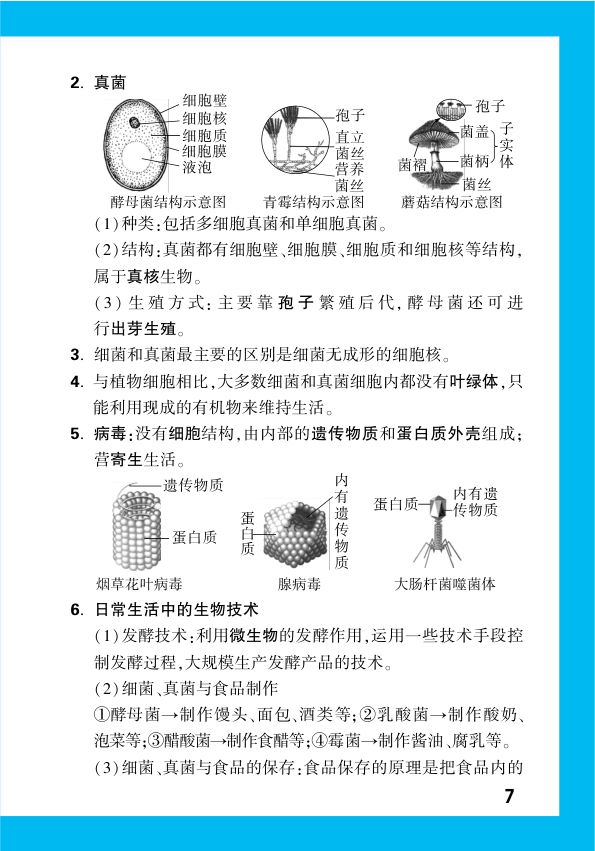 2025年中考生物复习基础知识点汇总第9页