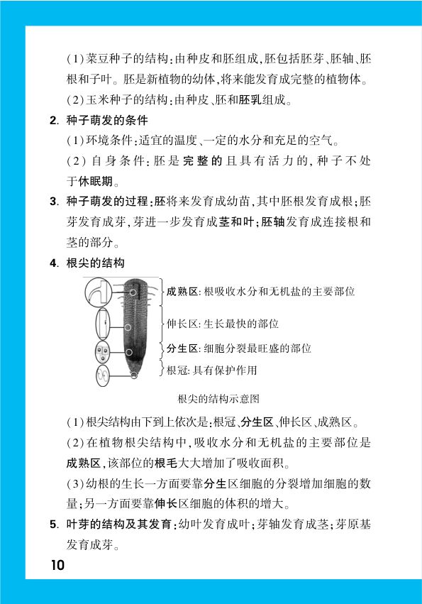 2025年中考生物复习基础知识点汇总第12页