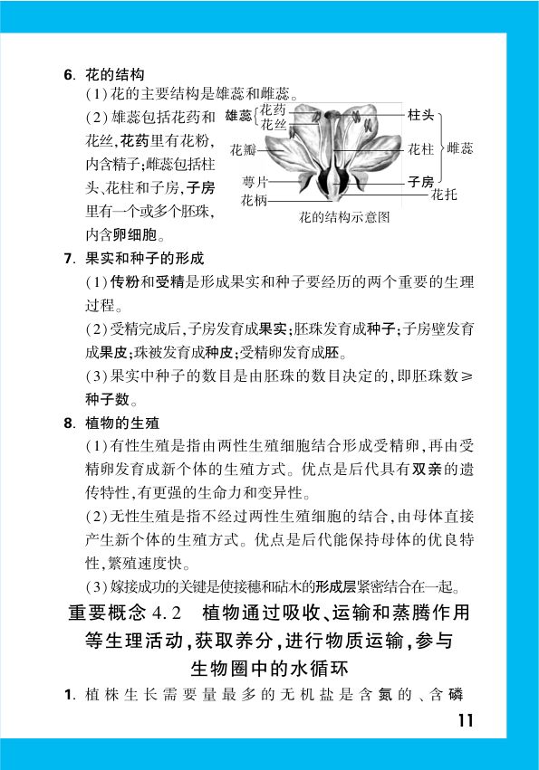 2025年中考生物复习基础知识点汇总第13页