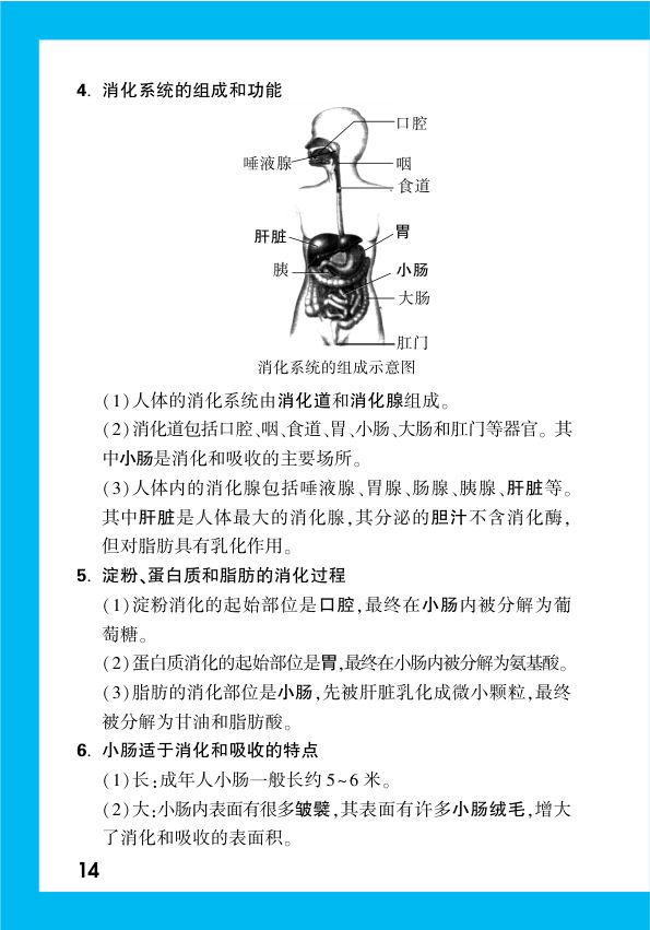 2025年中考生物复习基础知识点汇总第16页