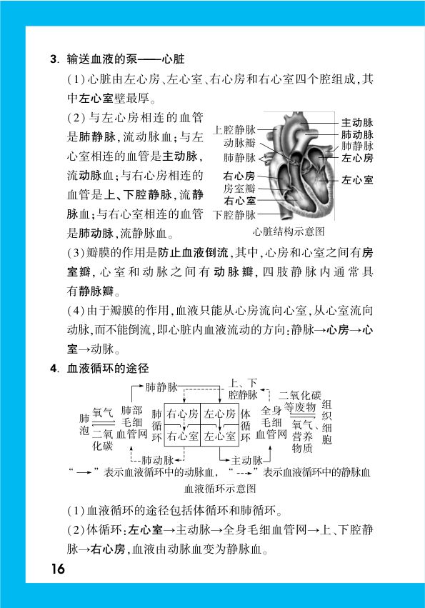 2025年中考生物复习基础知识点汇总第18页