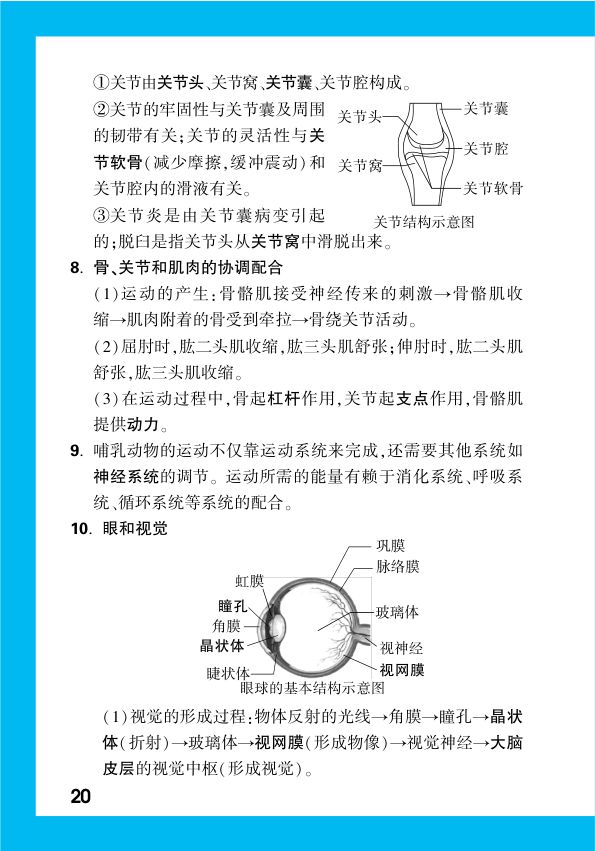 2025年中考生物复习基础知识点汇总第22页