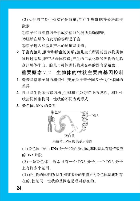 2025年中考生物复习基础知识点汇总第26页