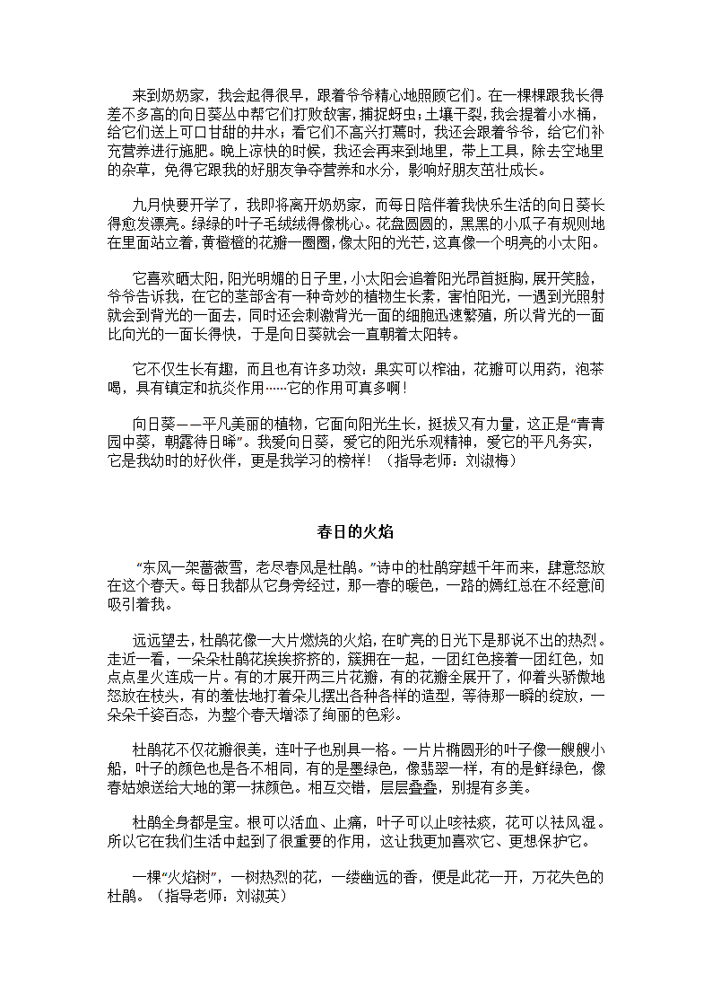 三下一单元习作：我的植物朋友第3页