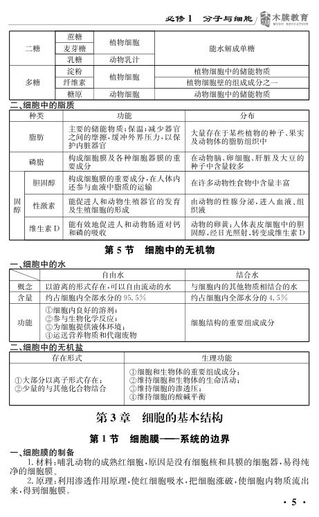 高中生物基础知识点大全第5页