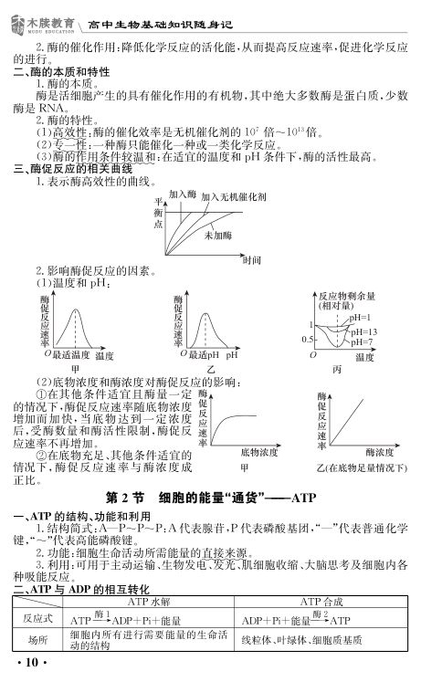 高中生物基础知识点大全第10页