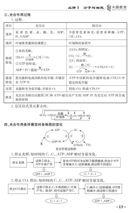 高中生物基础知识点大全第13页