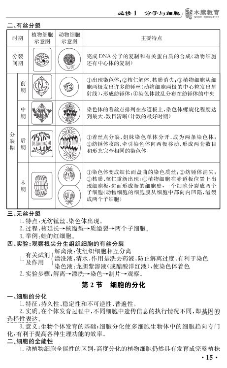 高中生物基础知识点大全第15页