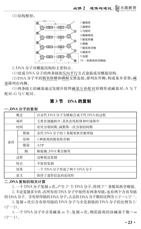 高中生物基础知识点大全第23页