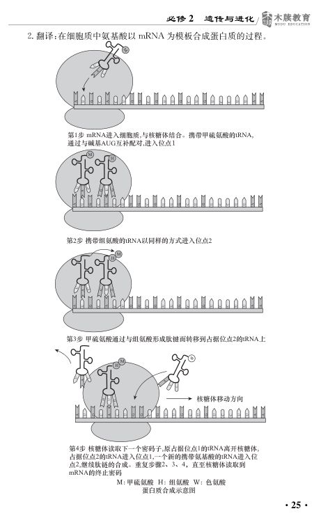 高中生物基础知识点大全第25页