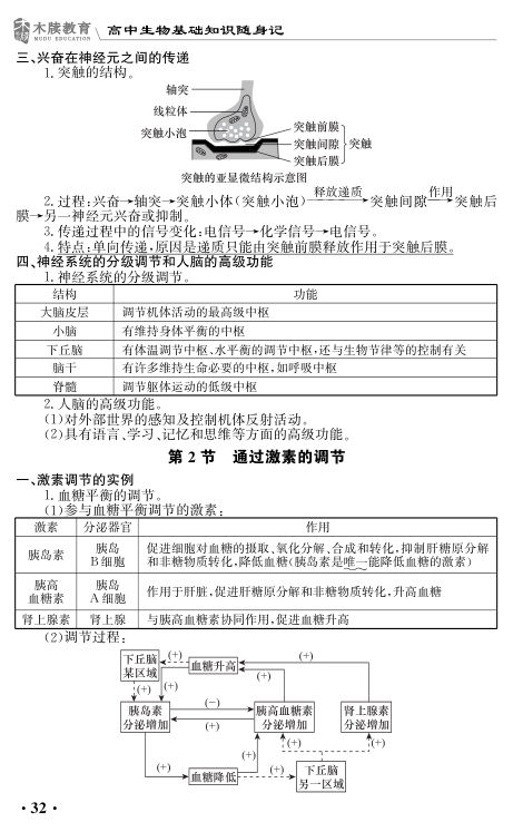 高中生物基础知识点大全第32页