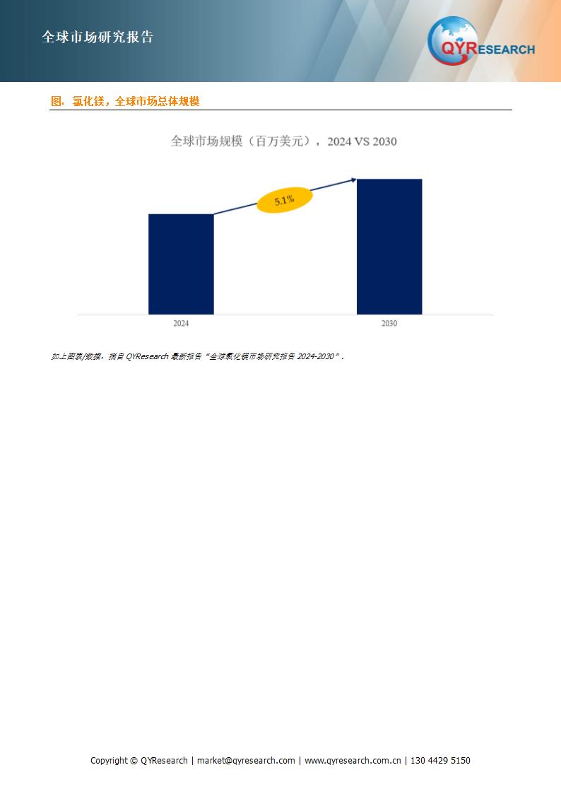 氯化镁行业数据分析报告第2页