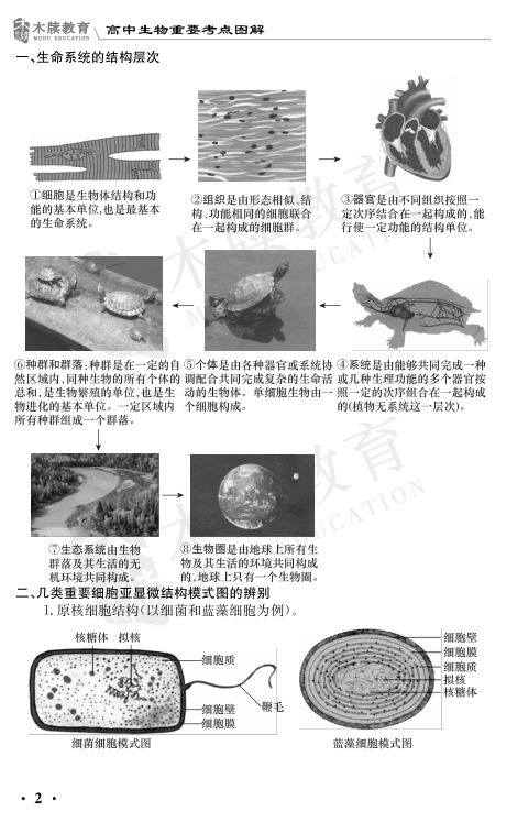 高中生物重要考点图解第2页