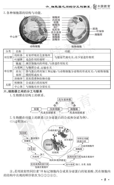 高中生物重要考点图解第5页