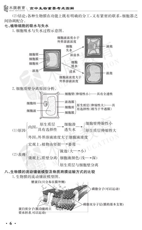 高中生物重要考点图解第6页