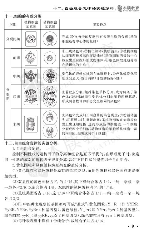 高中生物重要考点图解第9页