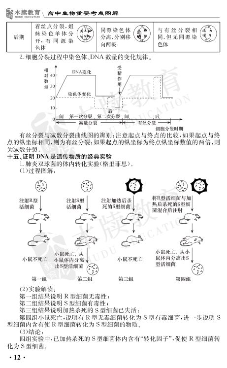 高中生物重要考点图解第12页