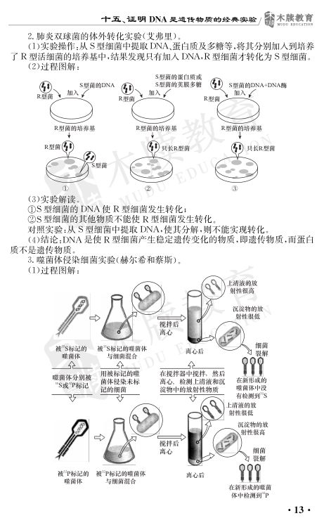 高中生物重要考点图解第13页