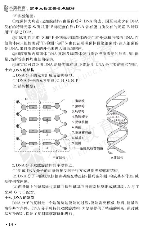 高中生物重要考点图解第14页