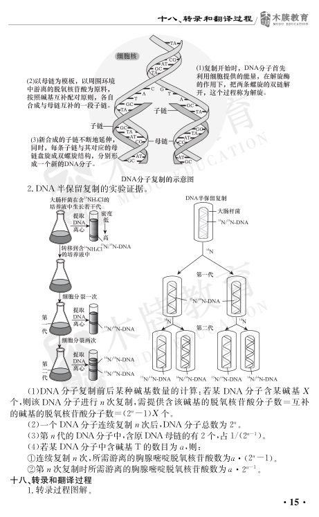 高中生物重要考点图解第15页