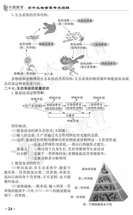 高中生物重要考点图解第24页