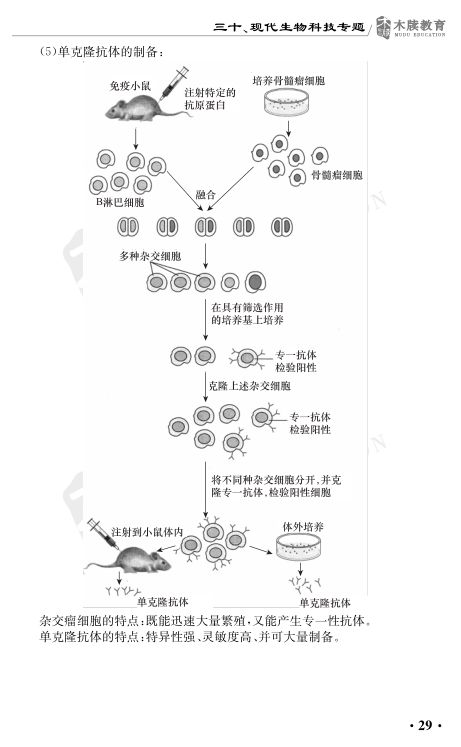 高中生物重要考点图解第29页