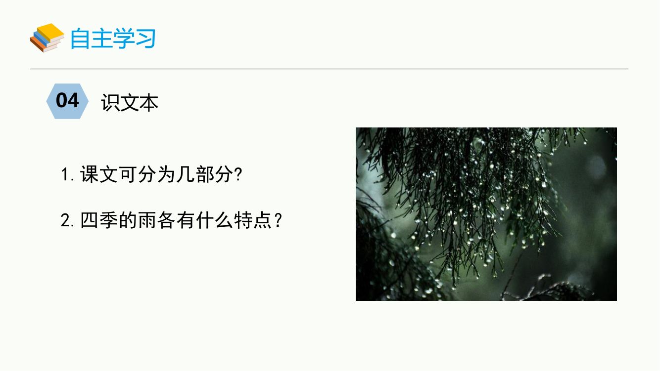 雨的四季教学课件第8页