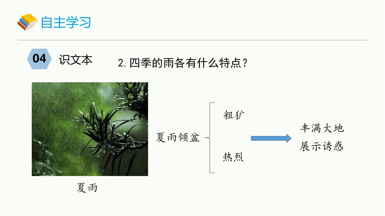 雨的四季教学课件第11页