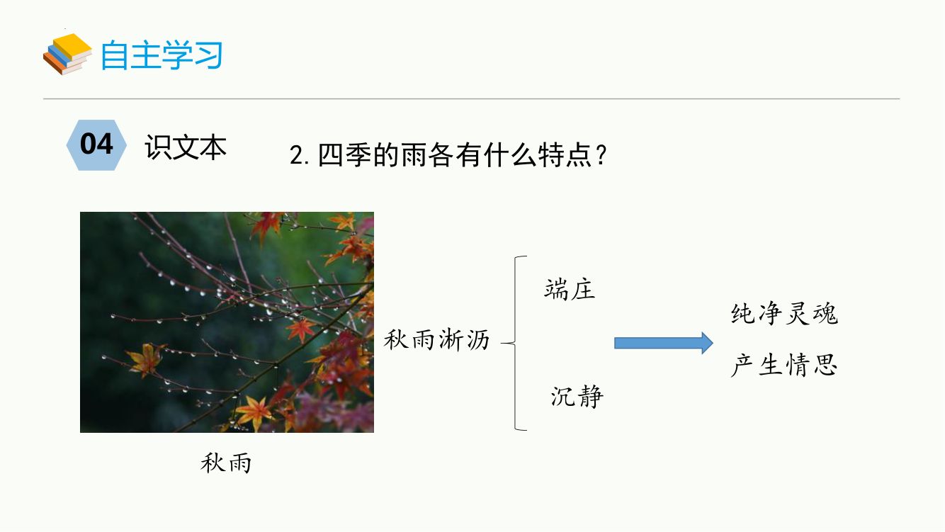 雨的四季教学课件第12页