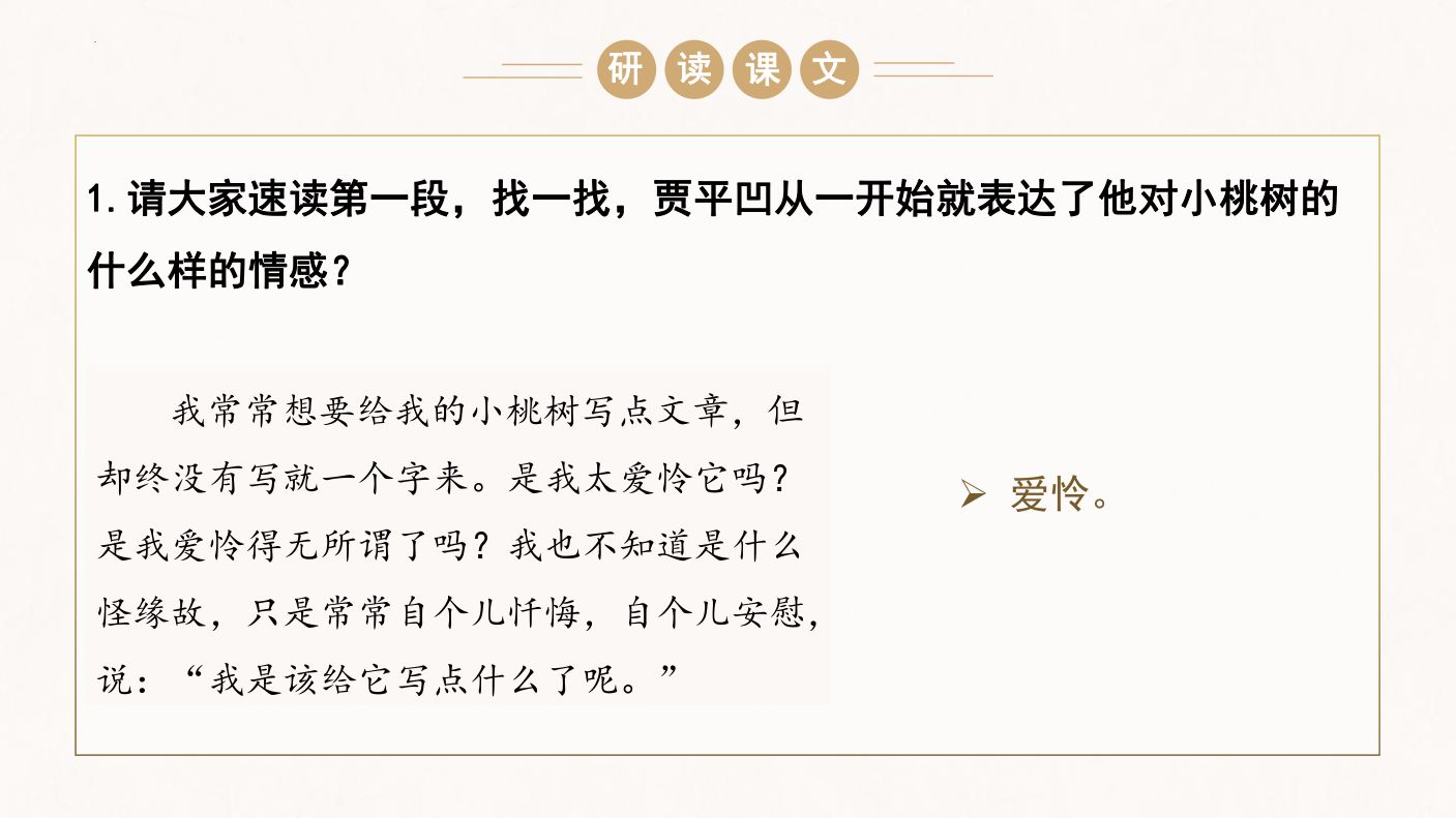 一棵小桃树教学课件第11页