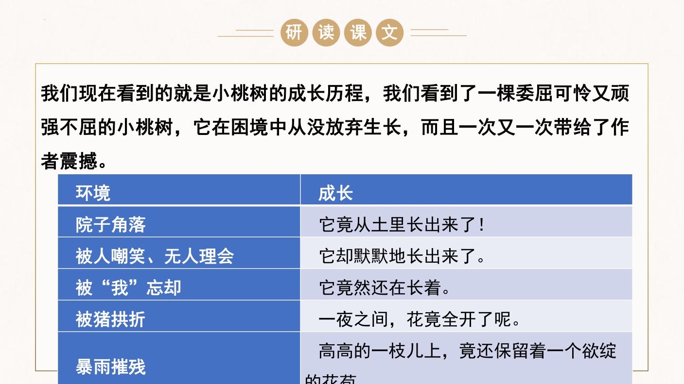 一棵小桃树教学课件第13页