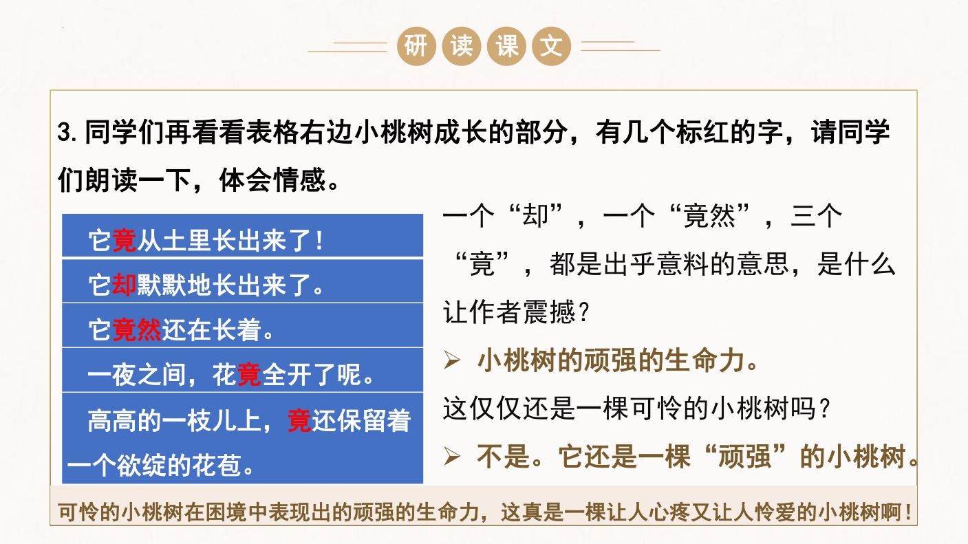 一棵小桃树教学课件第15页