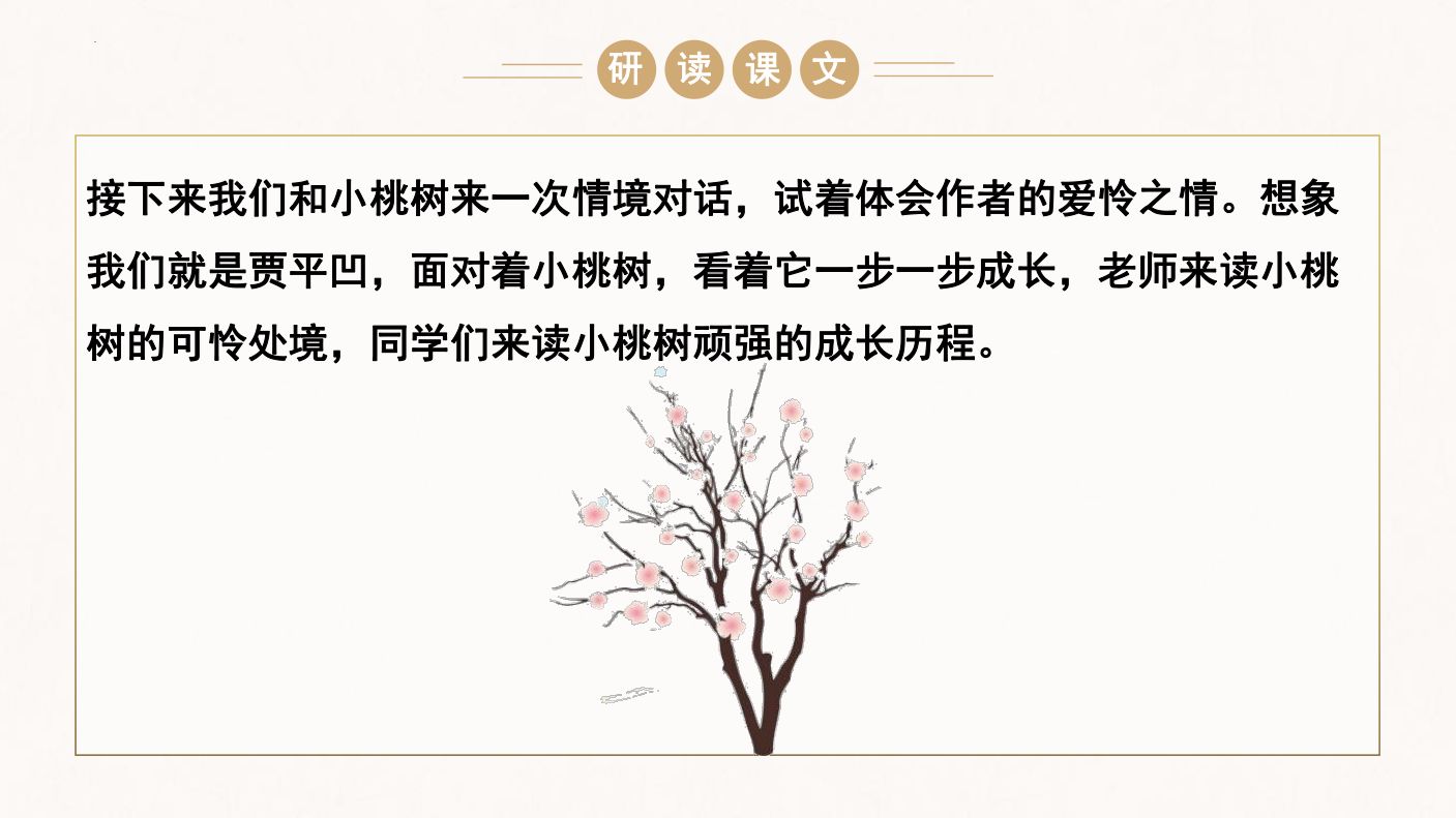 一棵小桃树教学课件第17页