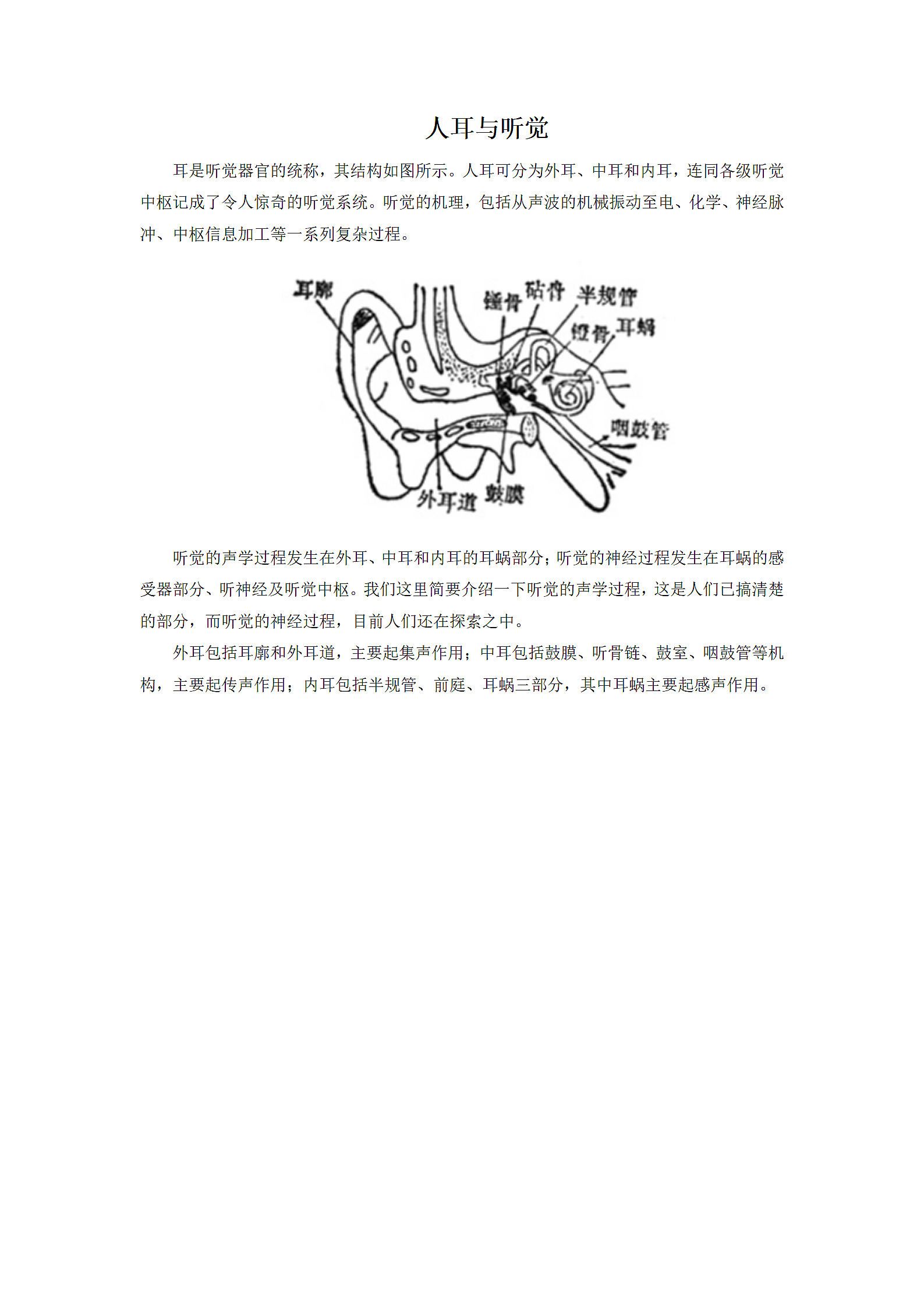 人耳与听觉第1页