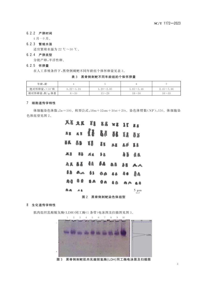 黑脊倒刺鲃SCT1172-2023第5页