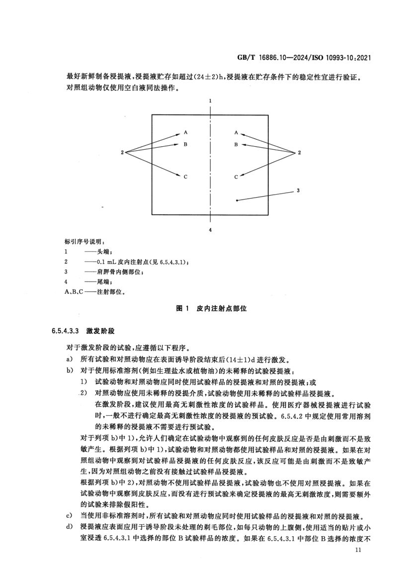 皮肤致敏试验GBT16886.10-2024第20页