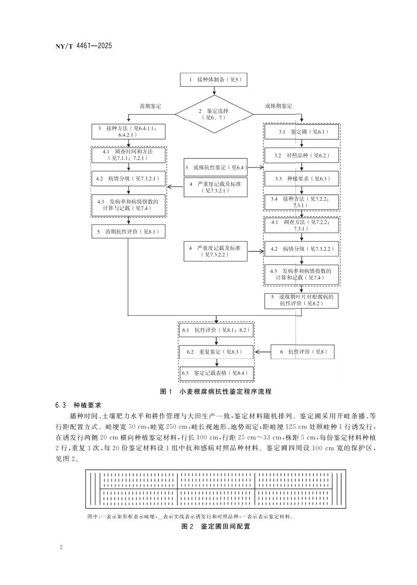 小麦根腐病抗性鉴定技术规程NYT4461-2025第5页