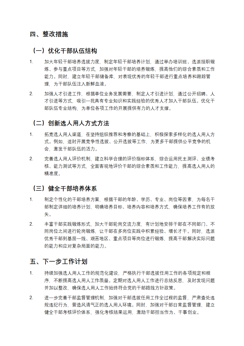 选人用人自查报告第3页