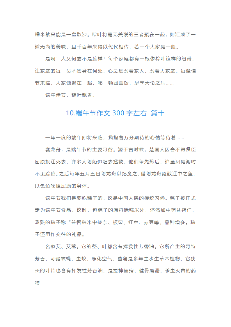 端午节作文300字左右（通用15篇）第8页