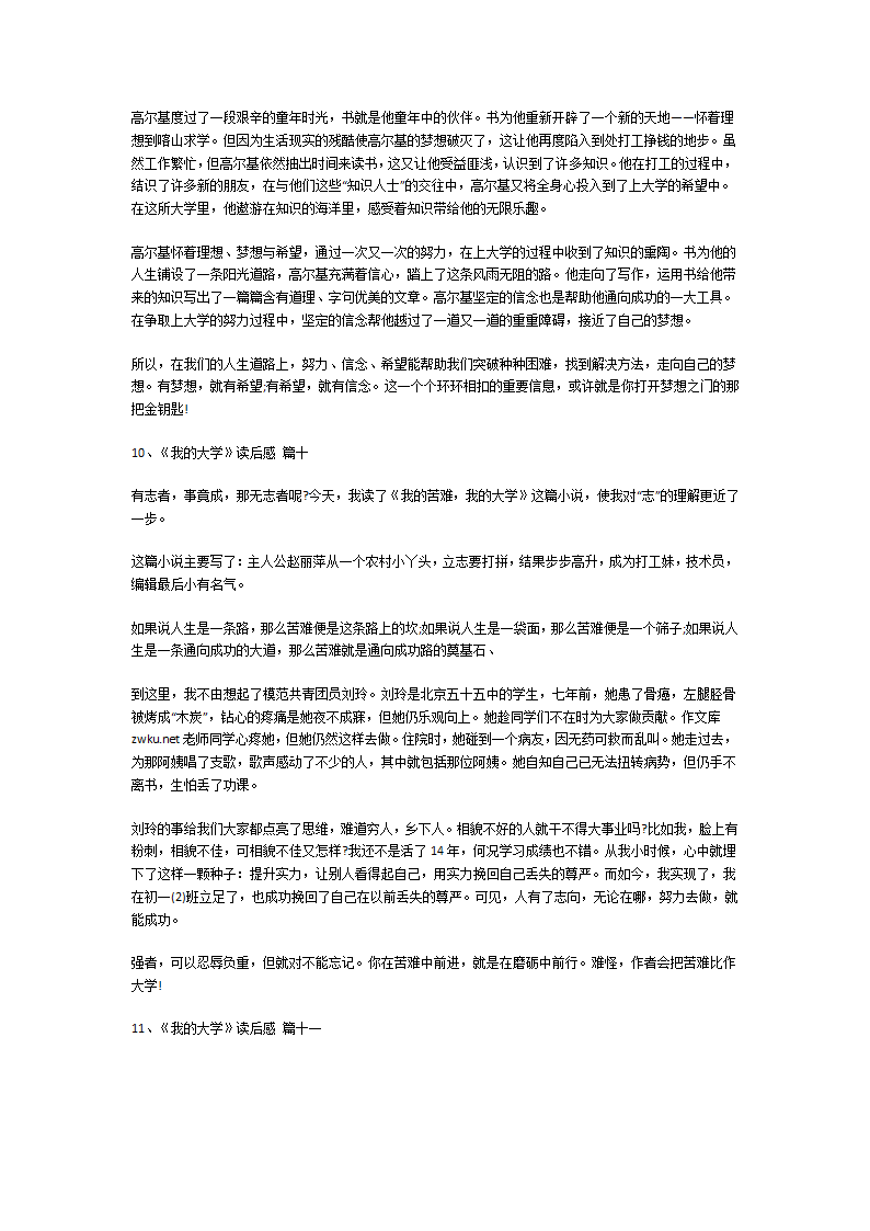 《我的大学》读后感第6页