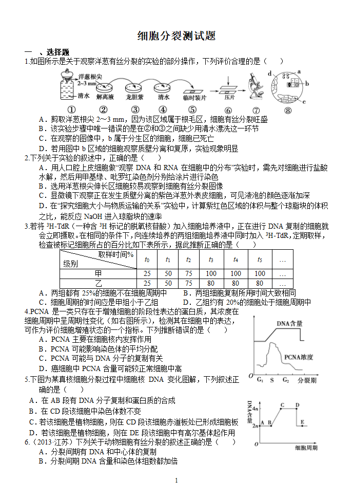 细胞分裂测试题第1页