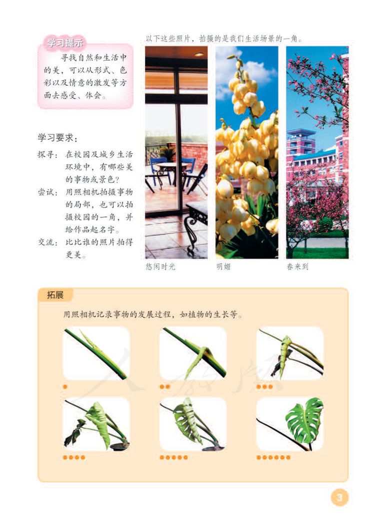 小学美术六年级下册人教版课本第7页