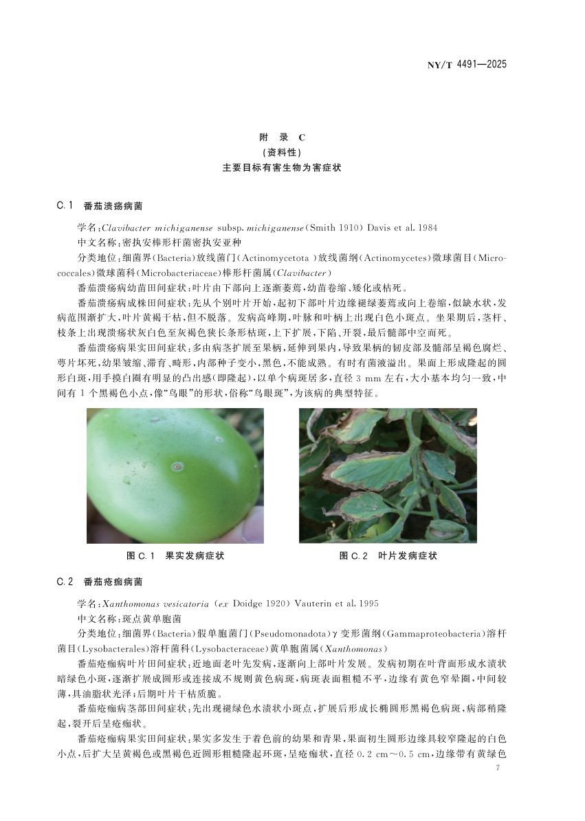 番茄种子产地检疫规程NYT4491-2025第10页