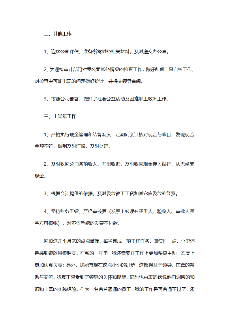 年终会计出纳总结（精选30篇）第27页