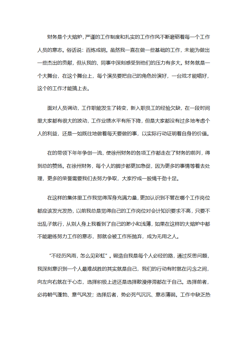 年终会计出纳总结（精选30篇）第61页