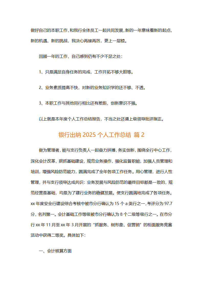 银行出纳2025个人工作总结第2页