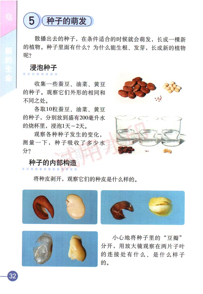 小学科学四年级下册教科版课本-上册第37页