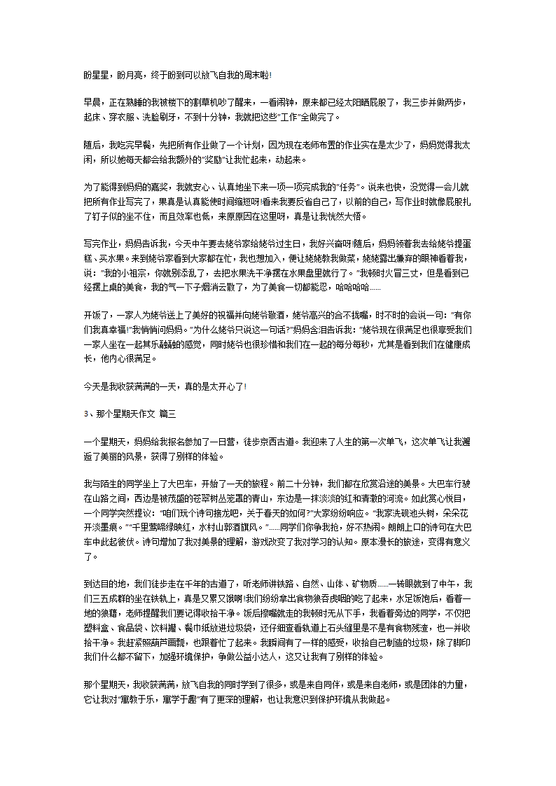 那个星期天作文第2页