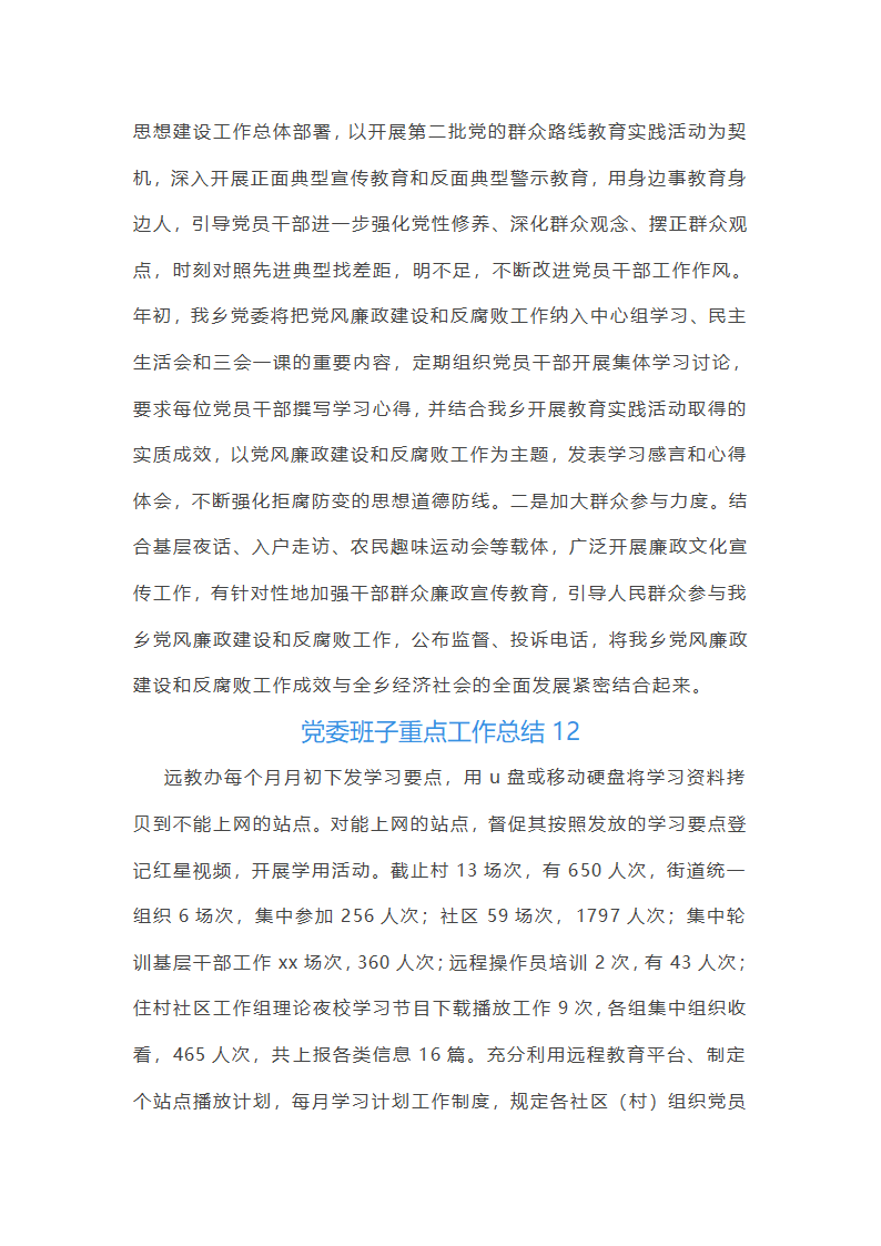 党委班子重点工作总结第13页